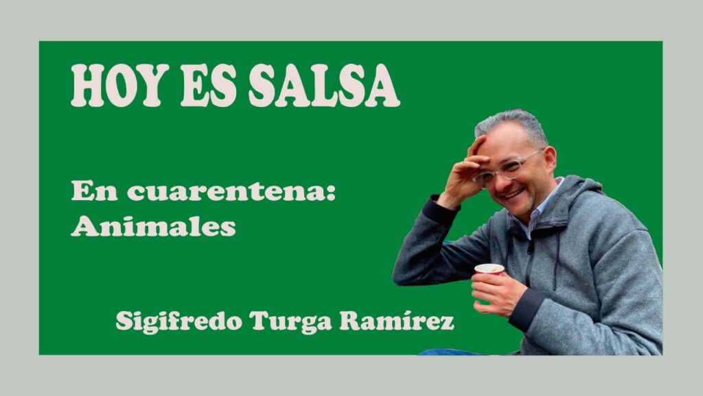 Hoy es salsa animales